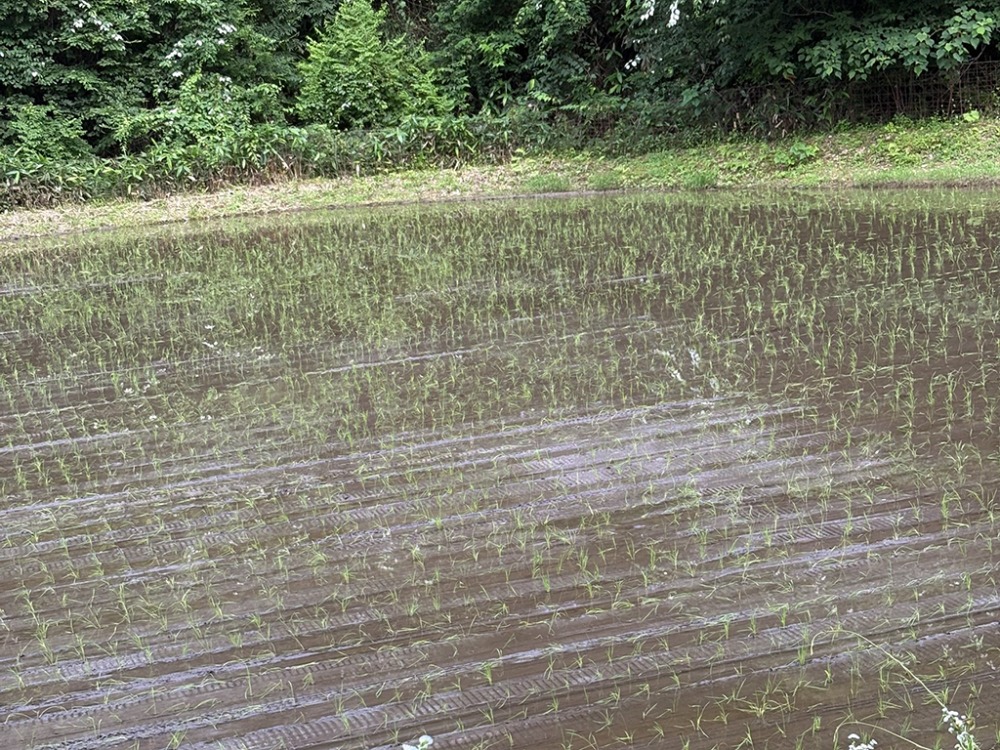 土づくりから始まる、おいしさへのこだわり