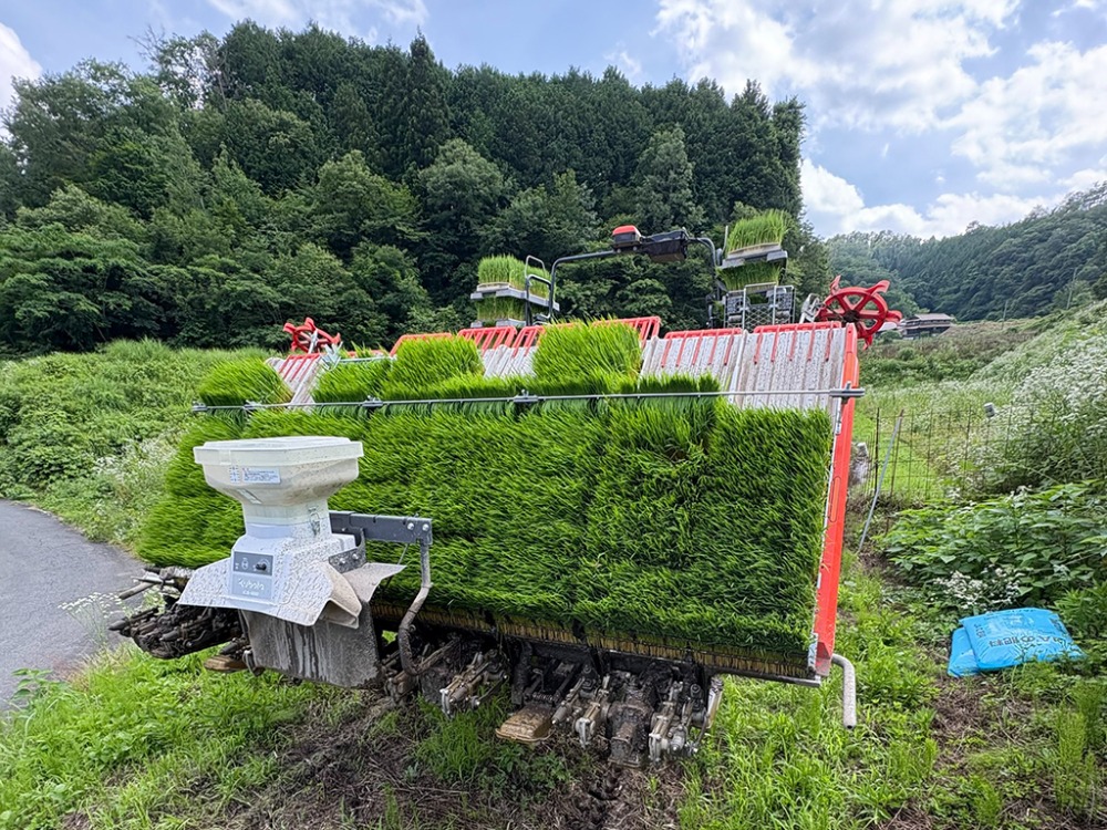 農家だからこそ届けられる、本当のおいしさ